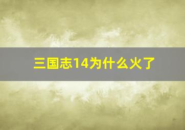 三国志14为什么火了