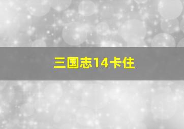 三国志14卡住