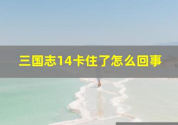 三国志14卡住了怎么回事