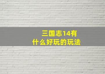 三国志14有什么好玩的玩法