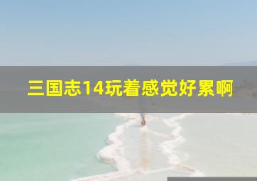 三国志14玩着感觉好累啊