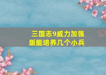 三国志9威力加强版能培养几个小兵