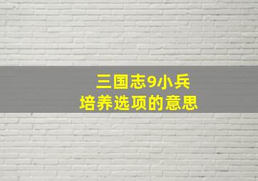 三国志9小兵培养选项的意思