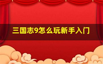 三国志9怎么玩新手入门