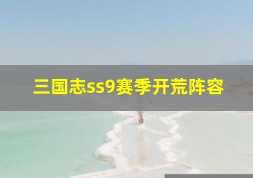 三国志ss9赛季开荒阵容