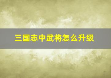 三国志中武将怎么升级