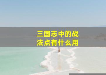 三国志中的战法点有什么用