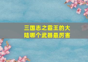 三国志之霸王的大陆哪个武器最厉害