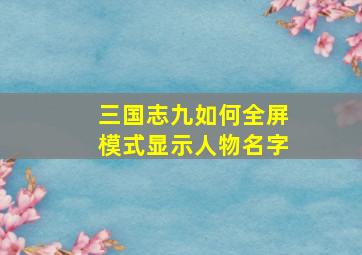 三国志九如何全屏模式显示人物名字