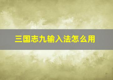 三国志九输入法怎么用