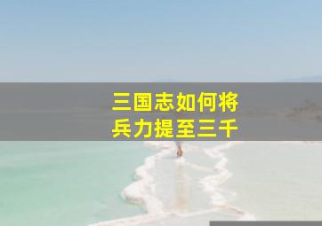 三国志如何将兵力提至三千