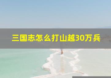 三国志怎么打山越30万兵