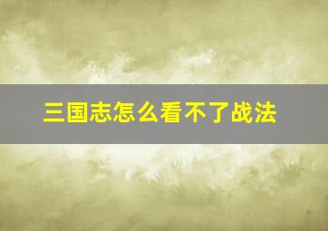 三国志怎么看不了战法