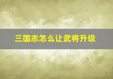 三国志怎么让武将升级