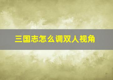 三国志怎么调双人视角