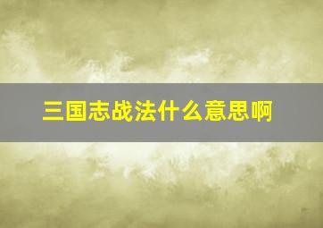 三国志战法什么意思啊