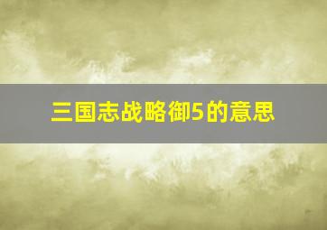 三国志战略御5的意思