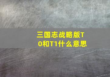 三国志战略版T0和T1什么意思