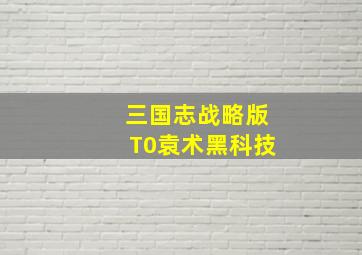 三国志战略版T0袁术黑科技