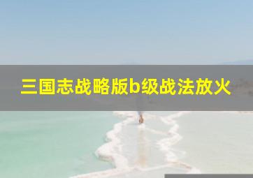 三国志战略版b级战法放火