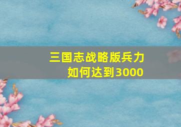 三国志战略版兵力如何达到3000