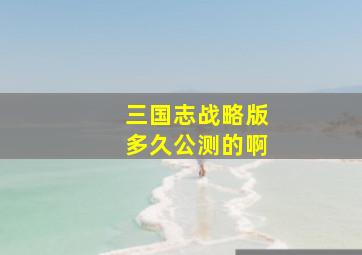 三国志战略版多久公测的啊