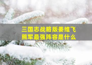 三国志战略版姜维飞熊军最强阵容是什么