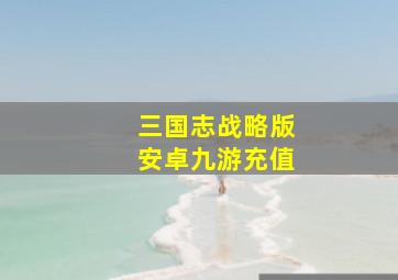 三国志战略版安卓九游充值