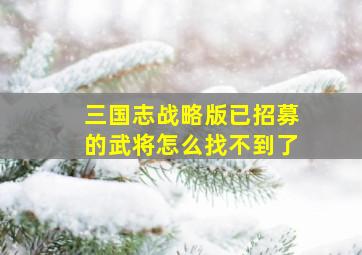 三国志战略版已招募的武将怎么找不到了