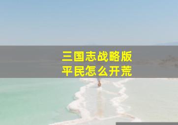 三国志战略版平民怎么开荒