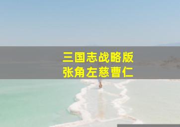 三国志战略版张角左慈曹仁