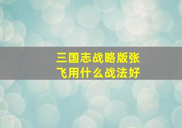 三国志战略版张飞用什么战法好