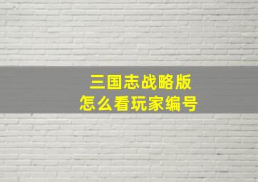 三国志战略版怎么看玩家编号