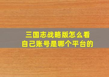 三国志战略版怎么看自己账号是哪个平台的