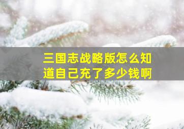 三国志战略版怎么知道自己充了多少钱啊