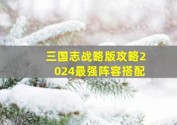 三国志战略版攻略2024最强阵容搭配