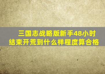 三国志战略版新手48小时结束开荒到什么样程度算合格