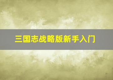 三国志战略版新手入门