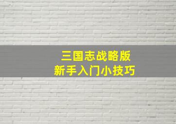 三国志战略版新手入门小技巧