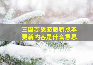 三国志战略版新版本更新内容是什么意思