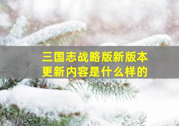 三国志战略版新版本更新内容是什么样的