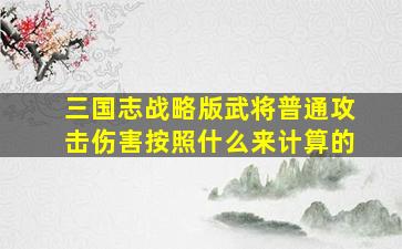 三国志战略版武将普通攻击伤害按照什么来计算的