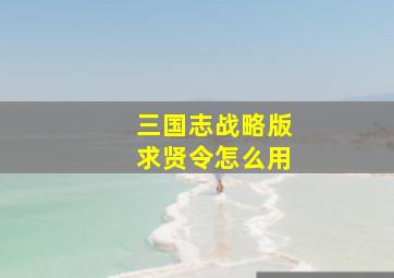 三国志战略版求贤令怎么用