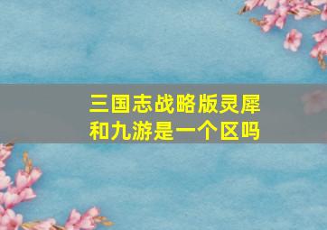 三国志战略版灵犀和九游是一个区吗