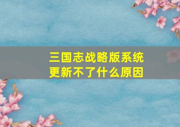 三国志战略版系统更新不了什么原因