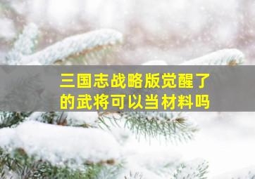 三国志战略版觉醒了的武将可以当材料吗