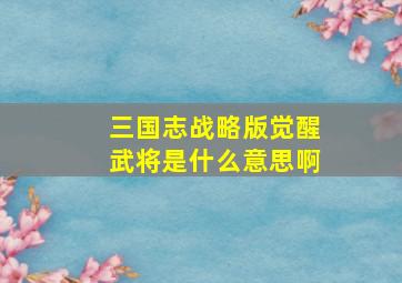 三国志战略版觉醒武将是什么意思啊