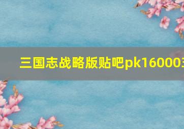 三国志战略版贴吧pk160003