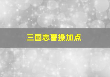 三国志曹操加点