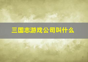 三国志游戏公司叫什么